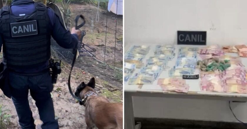 Guarda Civil Municipal detém rapaz com drogas