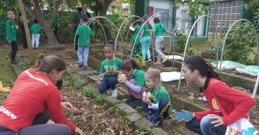 Instituto Verdescola promove ações na Semana do Meio Ambiente