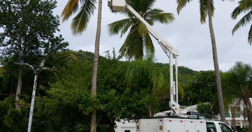 Ilhabela reforça cuidados na orla e segue com limpeza dos coqueiros